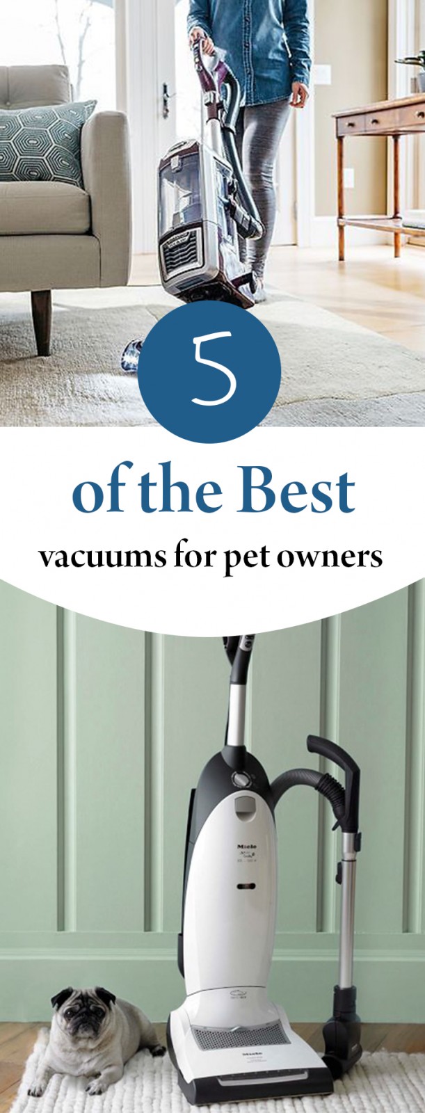 5 of the Best Vacuums for Pet Owners Wrapped in Rust