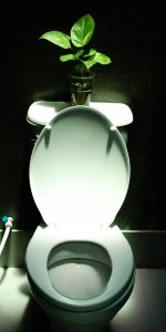 Tips For dealing with urine splash-glow in the dark toilet seat