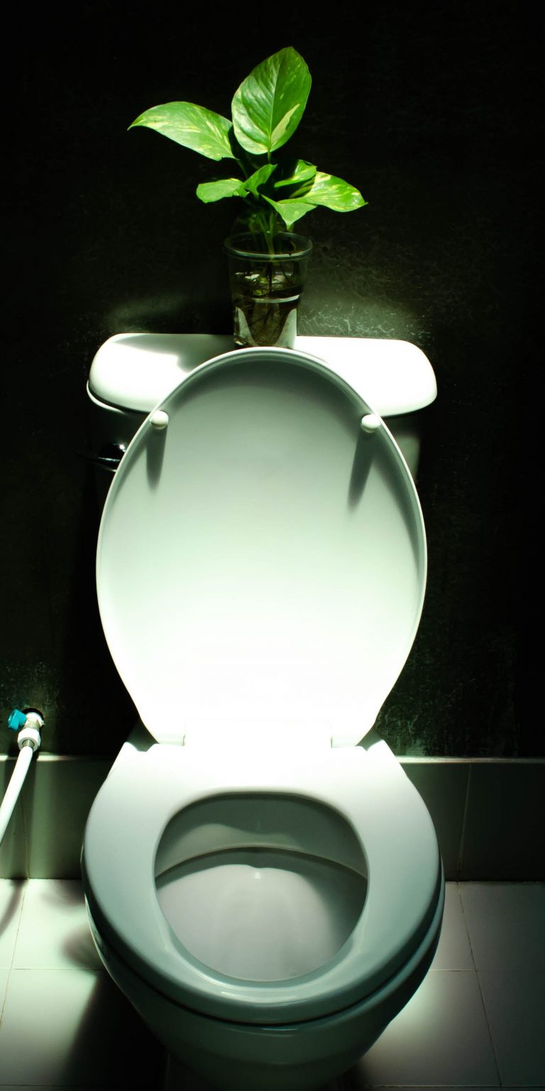 Tips For Dealing With Urine Splash and Keeping Toilet Area Clean Wrapped in Rust