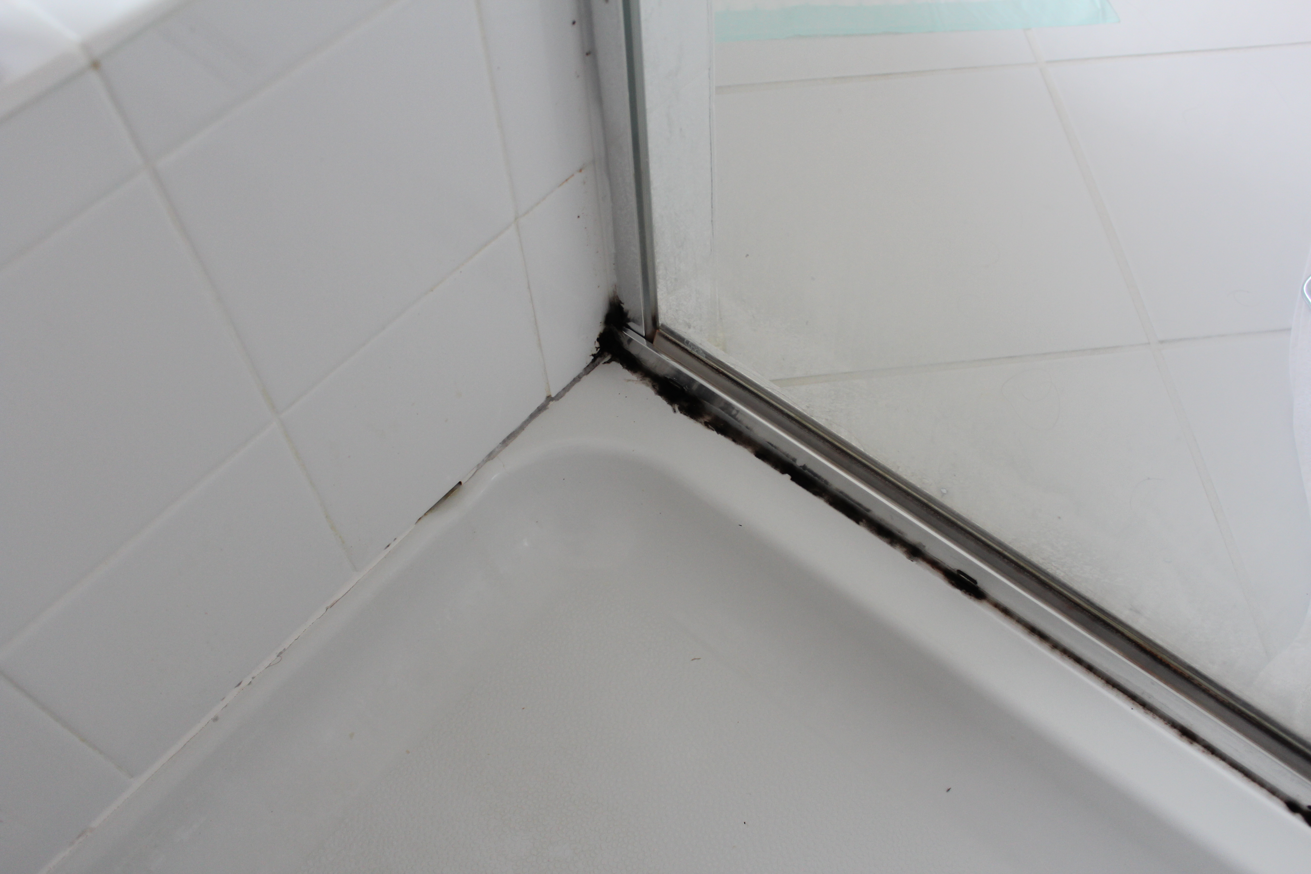 How to REALLY Deep Clean Your Bathroom - Wrapped in Rust