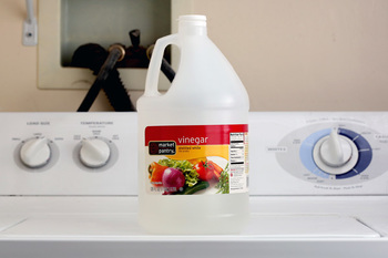 how to deep clean your washing machine