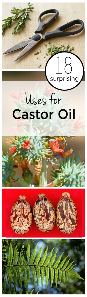 Castor oil, cleaning hacks, uses for castor oil uses for oil, popular pin, cleaning, home hacks, home tips.