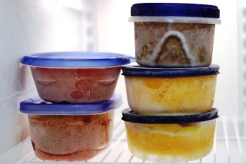 15 Incredible Freezer Organization Hacks3