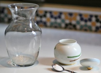 20 Awesome Things to do With Vinegar4
