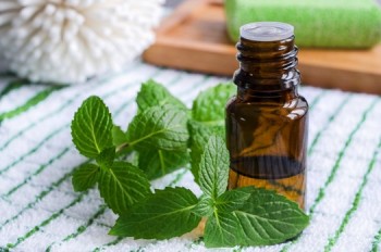 10-ways-to-clean-naturally-with-essential-oils9