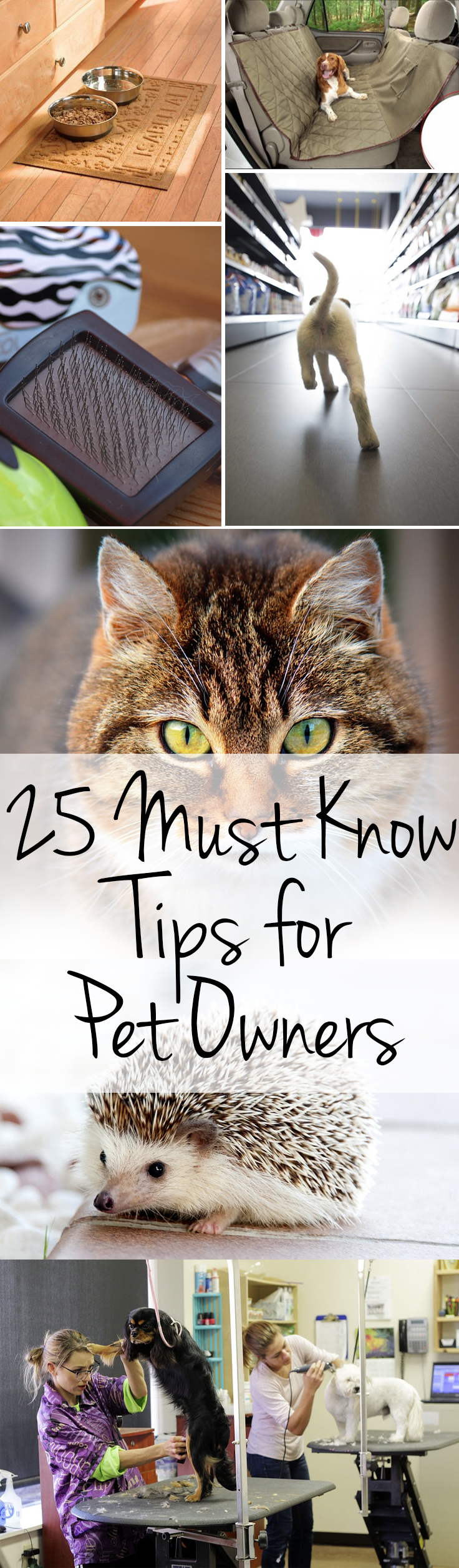 25-must-know-tips-for-pet-owners-1