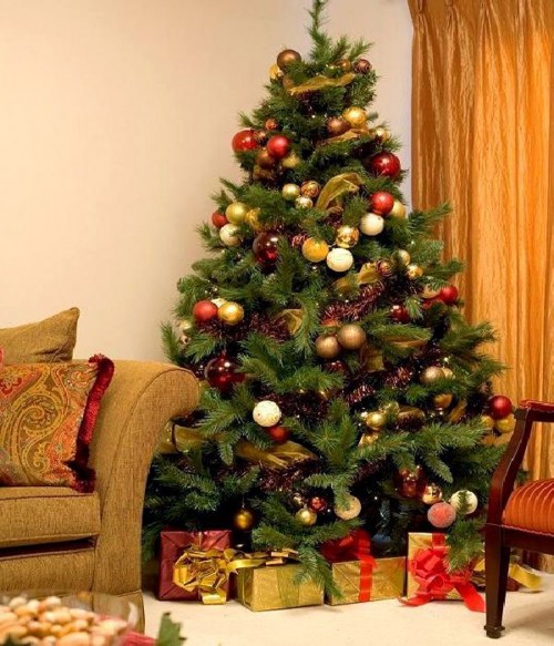 10-must-know-christmas-tree-care-tips4