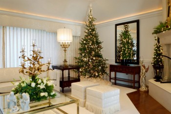 10-must-know-christmas-tree-care-tips9