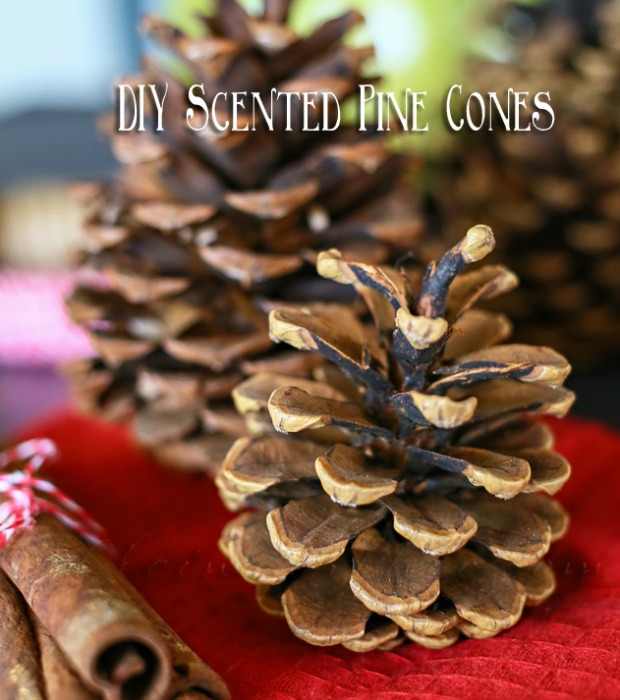 12-diy-holiday-scents-for-a-fresh-home12