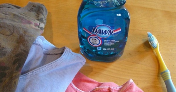 14-unique-ways-to-use-dawn-dish-soap-at-home12