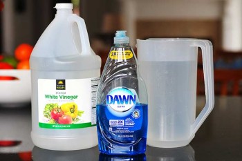 14-unique-ways-to-use-dawn-dish-soap-at-home8