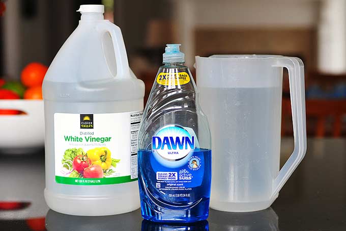 How to Use Dawn Dish Soap, Things to Do With Dawn Dish Soap, Dawn Dish Soap Hacks, Uses for Dawn Dish Soap, Popular Pin, Dawn Dish Soap Around The House, Life Hacks, Easy Life Hacks, Simple Life Hacks.