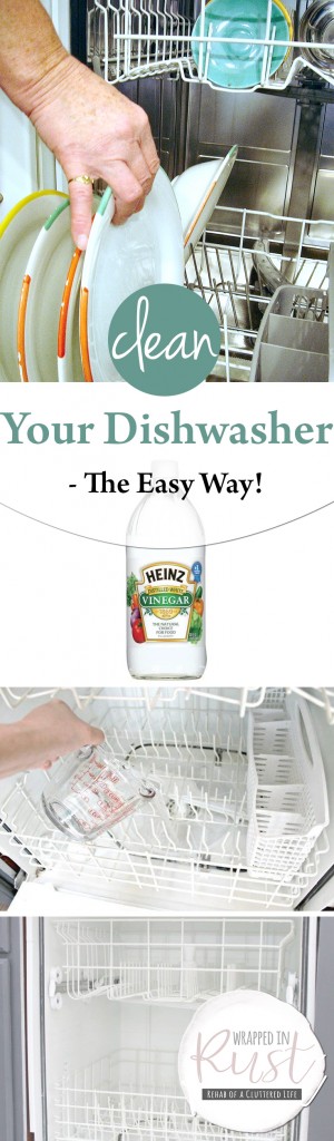 How to Clean Your Dishwasher, Dishwasher Cleaning Hacks, Dishwasher Cleaning Tips, Easily Clean Your Dishwasher, How to Easily Clean Your Dishwasher, Popular Pin