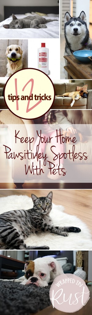 Cleaning With Pets, How to Clean With Pets, Cleaning Tips and Tricks, Keeping Your House Clean With Pets, Home Cleaning Hacks, How to Keep Your Home Clean, Clutter Free Home, How to Get Rid of Pet Smell, How to Get Rid of Pet Hair