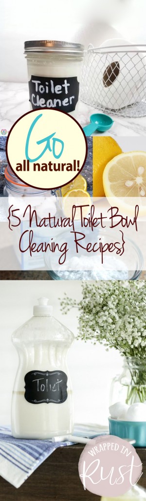 Go All Natural! {5 Natural Toilet Bowl Cleaning Recipes} Natural Cleaning Recipes, Cleaning Recipes, Cleaning Tips and Tricks, Cleaning Hacks, Homemade Cleaners, Handmade Cleaning Recipes, Homemade Cleaning Recipes, Chemical Free Cleaning Recipes