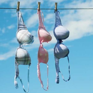 wash-bras-x