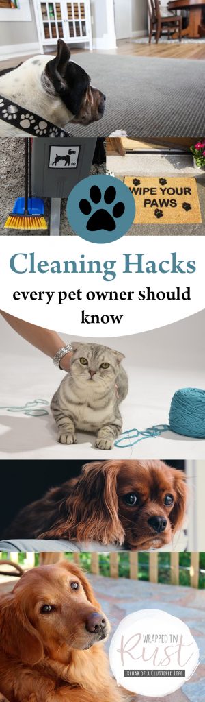 Cleaning Hacks for Pet Owners, Pet Owner Cleaning Hacks, Cleaning Hacks, Home Cleaning Hacks, How to Keep Your Home Clean With Pets, SImple Ways to Keep Your Home Clean With Pets, Popular Pin