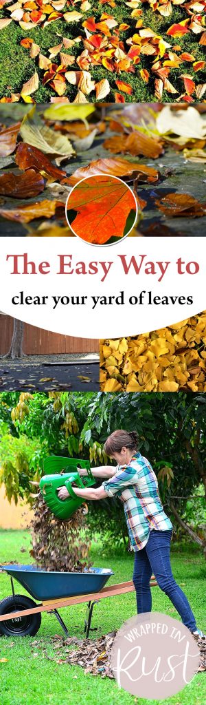 The Easy Way to Clear Your Yard of Leaves| Fall Leaves, How to Clean Fall Leaves, Fast Ways to Clean Fall Leaves, Clean Up Fall Leaves, Landscaping Hacks, Home Landscaping Tips and Tricks
