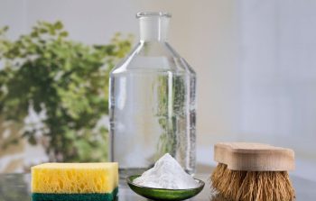 5 All Natural Ways to Disinfect Your Home| Cleaning, Cleaning Hacks, Cleaning Tips, Cleaning Products Homemade, Cleaning Products DIY, DIY Cleaning Products, All Natural Cleaners, All Natural Cleaners DIY
