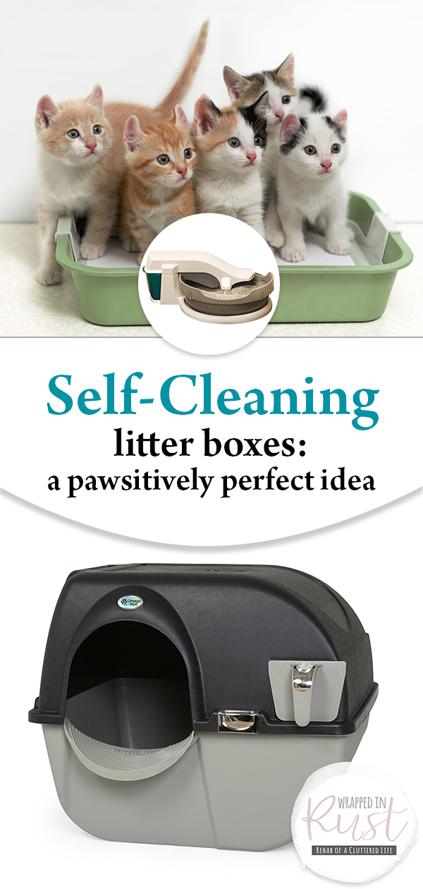 SelfCleaning Litter Box A Pawsitively Perfect Idea Wrapped in Rust