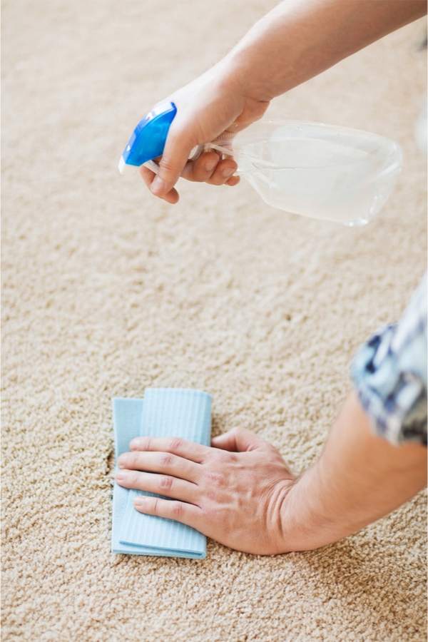 These carpet cleaning hacks are perfect for any pet owner. You'll be glad you know them. 