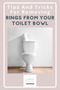 Toilet Bowl Stains - How to Get Stubborn Rings Out of the Toilet