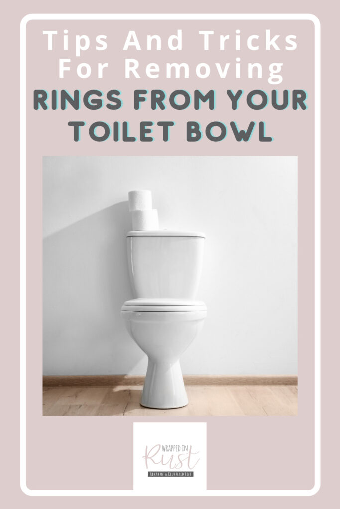 Toilet Bowl Stains How to Get Stubborn Rings Out of the Toilet