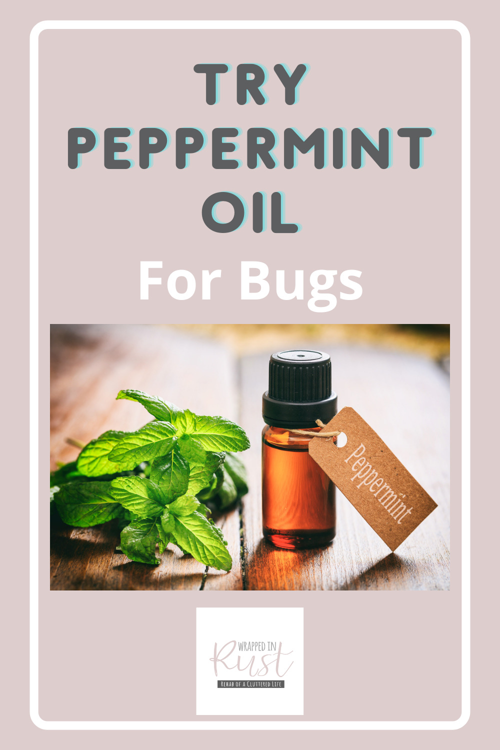 Peppermint Oil for Bugs